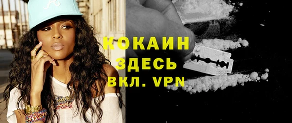 хмурый Каменка