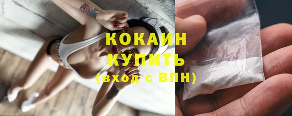 сатива Каменногорск