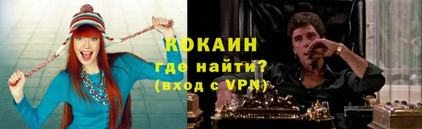 хмурый Каменка