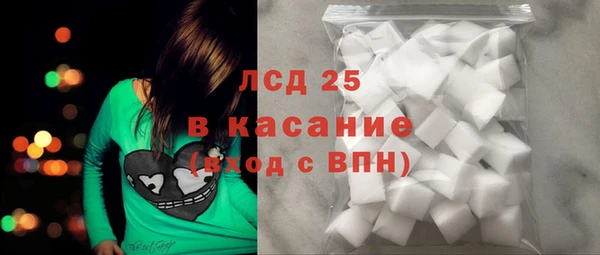 сатива Каменногорск