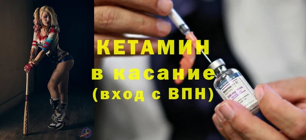 сатива Каменногорск