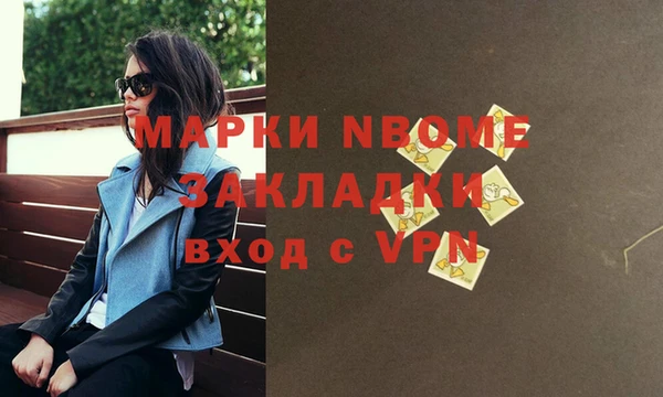 хмурый Каменка