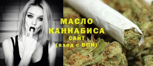 хмурый Каменка