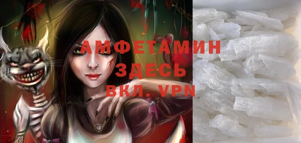 сатива Каменногорск